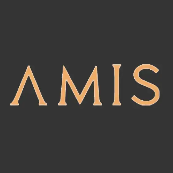 لوگوی AMIS Development